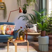 My project in Home Styling and Decoration with Plants course