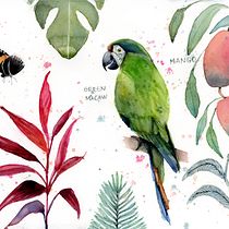 My project in Naturalist Journaling with Watercolor course