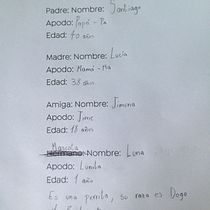 Mi Proyecto del curso: Escritura de una novela juvenil