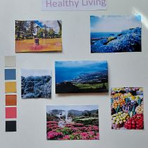 Meu projeto do curso: Criação de mood board: comunique conceitos de forma eficaz