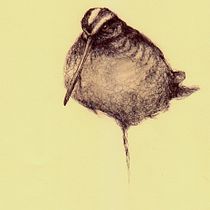 My project for course: Sketchbook Illustration with Pen: Embracing Mistakes