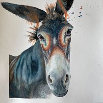 Donkey Portrait in Watercolor realism