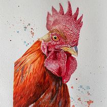 Rooster Portrait in Watercolor realism