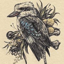 Kookaburra with Wattle Branches (ballpoint)