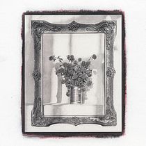 Mi proyecto del curso: Goma bicromatada: impresión fotográfica alternativa 