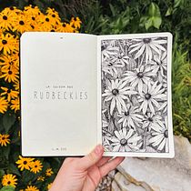Rudbeckia study — ink sketch page