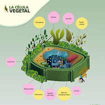 Mi proyecto del curso: Introducción a la infografía ilustrada