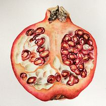 My project for course: Botanical Watercolor: Illustrating Art and Science