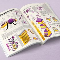 Il mio progetto del corso: Information design per infografiche editoriali