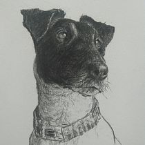 My project for course: Animal Illustration with Charcoal and Ink