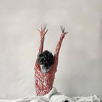 Mi proyecto del curso: Introducción al fotobordado: crea imágenes con textura
