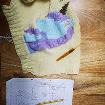 Mi proyecto del curso: Prendas de punto con intarsia: de la idea al patrón
