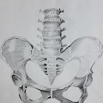 Mi proyecto del curso: Dibujo anatómico con lápiz de grafito para principiantes