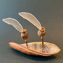 My project for course: Extraordinary Embroidery: Explore Alternative Organic Materials
