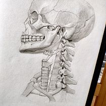 Mi proyecto del curso: Dibujo anatómico con lápiz de grafito para principiantes