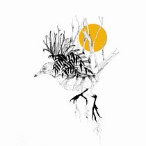 Mi proyecto del curso: Ilustración realista de pájaros con elementos creativos