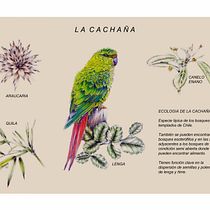 llustración naturalista 