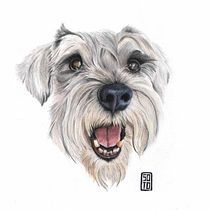 Mateo. Meu projeto de curso: Retratos de Animais de Estimação em Lápis de Cor