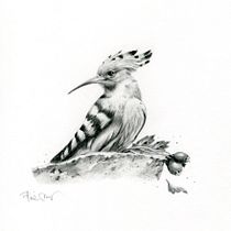 Ritratto di animali con matita di grafite
