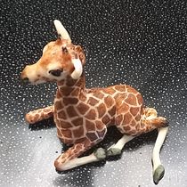 Baby giraffe