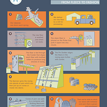 My project for course: Visual Storytelling Through Infographics