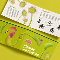 Mi proyecto del curso: Ilustración infantil para libros educativos
