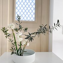 My first two Ikebana arrangements