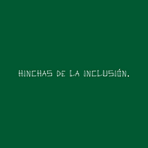 Mi proyecto del curso: Hinchas de la inclusión.