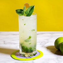Mi proyecto del curso: Introduction to Cocktails and Mixology