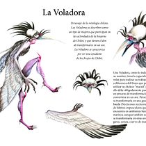 Mi proyecto del curso: Dibujos de fantasía en grafito y acuarela: guía práctica