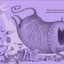 “Oh No Peanut!” By Erin Reeves
