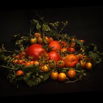Tomates en claroscuro, naturaleza muerta