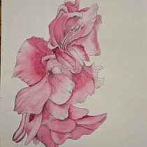 Sketching teckniques specialization