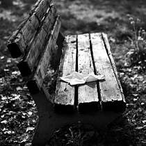The Wait