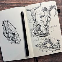 Skulls