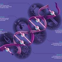 Infogragía Darwin Awards Nomination. Graphic Design project by Svetlana Pachkevitch - 11.10.2014
