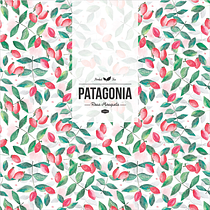PATAGONIA - herbal tea. Un projet de Br, ing et identité, Design  , et Design graphique de Carolina Krieger - 01.07.2015