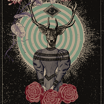 Die Metamorphose / Elena del Águila. Un projet de Design graphique de helen shelby - 08.07.2015