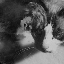 Connexió. Fine Arts, Design, Lighting Design, and Photograph project by Mona Guix - 09.15.2015