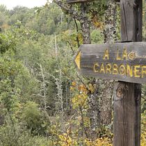 Un día de campo . Un projet de Photographie de lromeroarmenteros - 27.09.2015