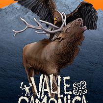 Valle Camonica. Projekt z dziedziny Trad, c i jna ilustracja użytkownika Bidus Bidonis - 28.10.2015