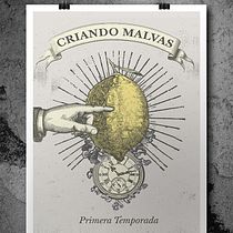 Criando Malvas. Un proyecto de Artesanía y Bellas Artes de S M - 19.11.2015