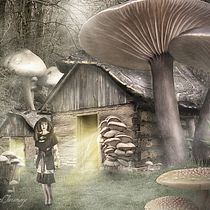 MattePainting. Graphic Design, and Photograph project by Raquel Jaramago - 01.30.2016