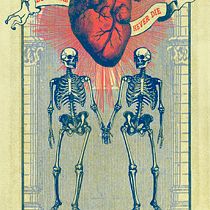 Soulmates never die. Un proyecto de Diseño gráfico e Ilustración tradicional de emmakiwi - 23.03.2016