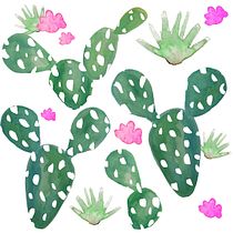 Cactus Pattern. Un projet de Packaging de Carla Karpowicz - 27.03.2016
