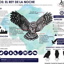 Mi Proyecto del curso: Crea una infografía que hará historia Ein Projekt aus dem Bereich Design, Grafikdesign und Infografik von danieladegregoriom - 19.04.2016