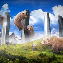 Ya hace tiempo que los osos no escalan madroños.. Collage, Design, Graphic Design, Photograph, Photograph, and Post-production project by José Luis Valero Alcalá - 04.22.2016