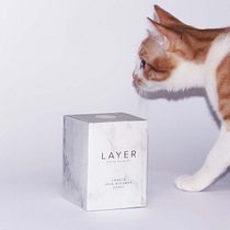 LAYER, proyecto identidad visual handmade. Projekt z dziedziny Br, ing i ident, fikacja wizualna,  Manager art, st, czn i Projektowanie graficzne użytkownika Lander Villar Plaza - 26.04.2016