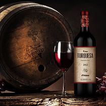 Wine Label Design: Viña Turquesa Crianza (Bodegas Pedro Moreno 1940) Ein Projekt aus dem Bereich Kunstleitung, Design, Verpackung und Werbung von almudena nagu - 04.05.2016