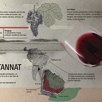Uruguay, país del Tannat. Ein Projekt aus dem Bereich Bildende Künste von Virginia García - 06.07.2016